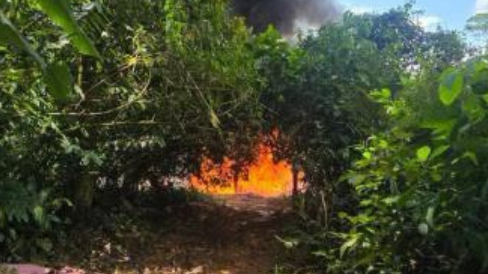 Umopar destruye tres fábricas móviles de pasta base en Villa Tunari 004 2026 10 06T163340.725
