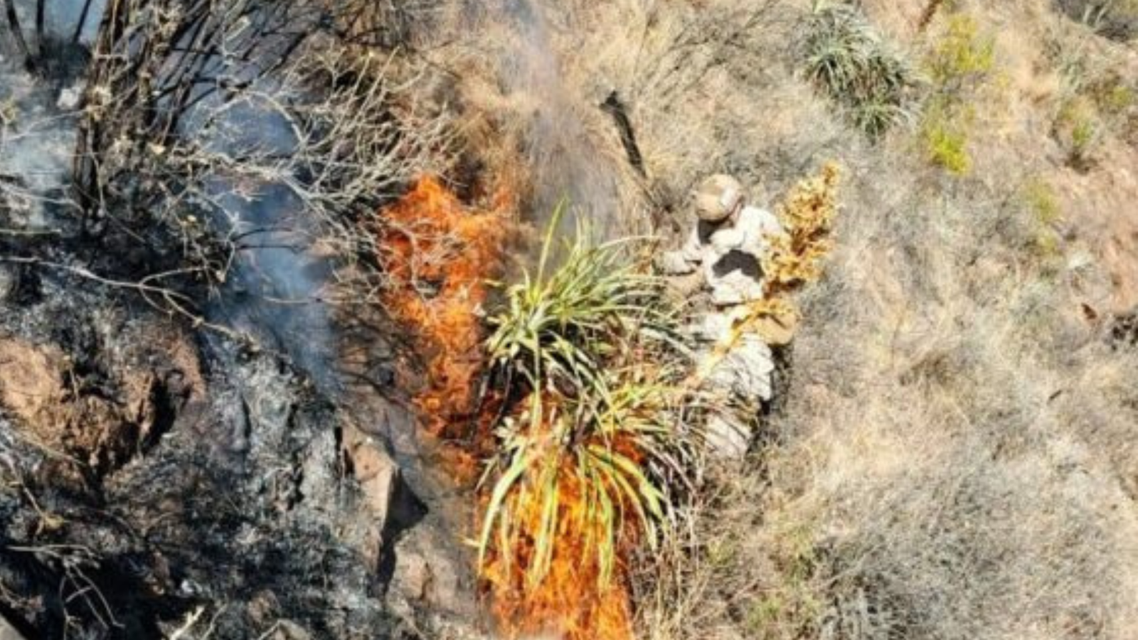 Defensa Civil y brigadas intensifican labores para controlar un incendio forestal en Pocona, Cochabamba: reportan daños agrícolas 004 2026 10 07T152554.770