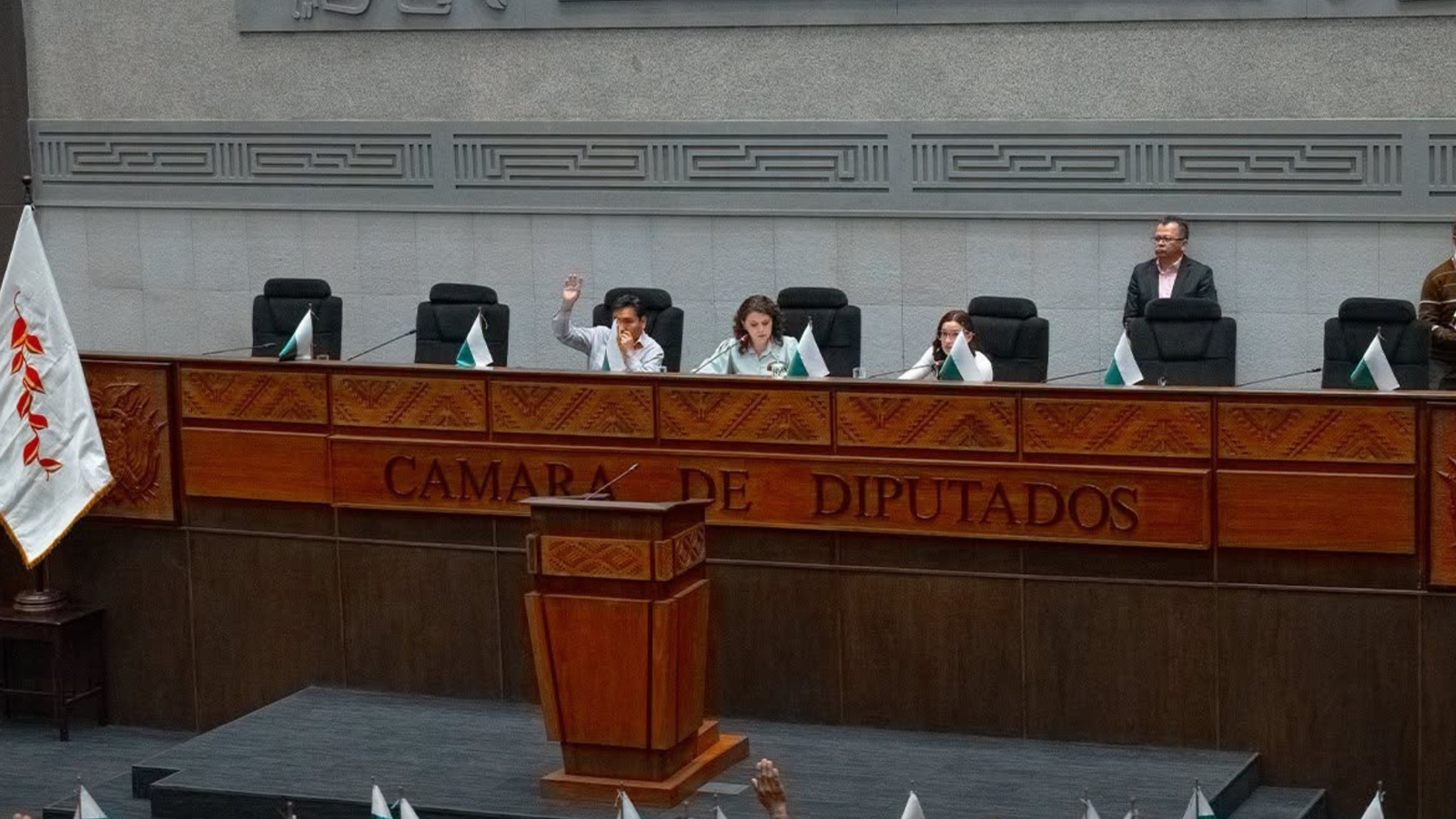 Diputados aprueban ley que declara a Palos Blancos y Alto Beni municipios libres de minería 004 2026 10 15T164437.566
