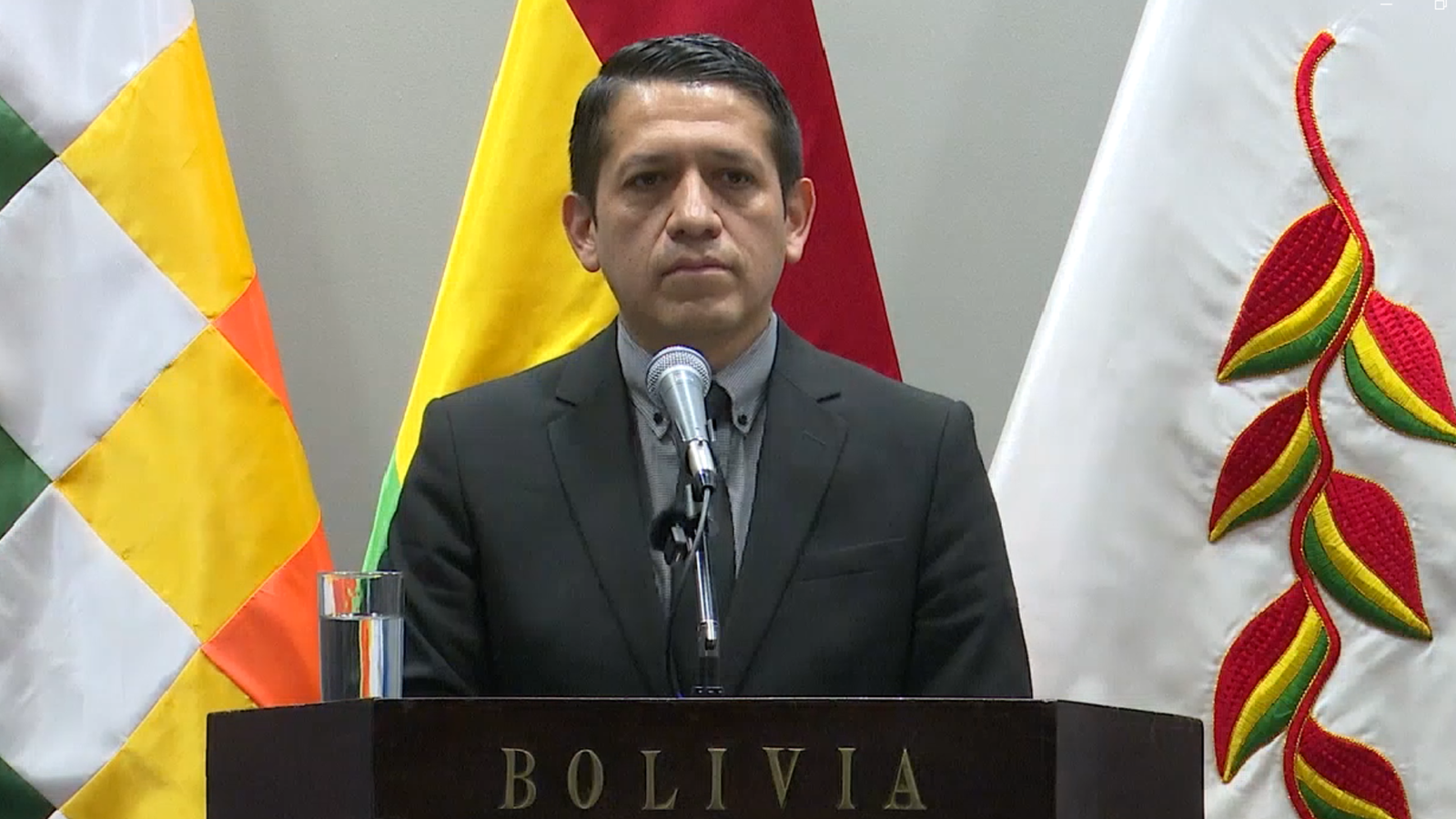 Gobierno rechaza detención domiciliaria de Luis Marcelo Arce por legitimación de ganancias ilícitas y pide informes sobre el juez que la otorgó 004 24