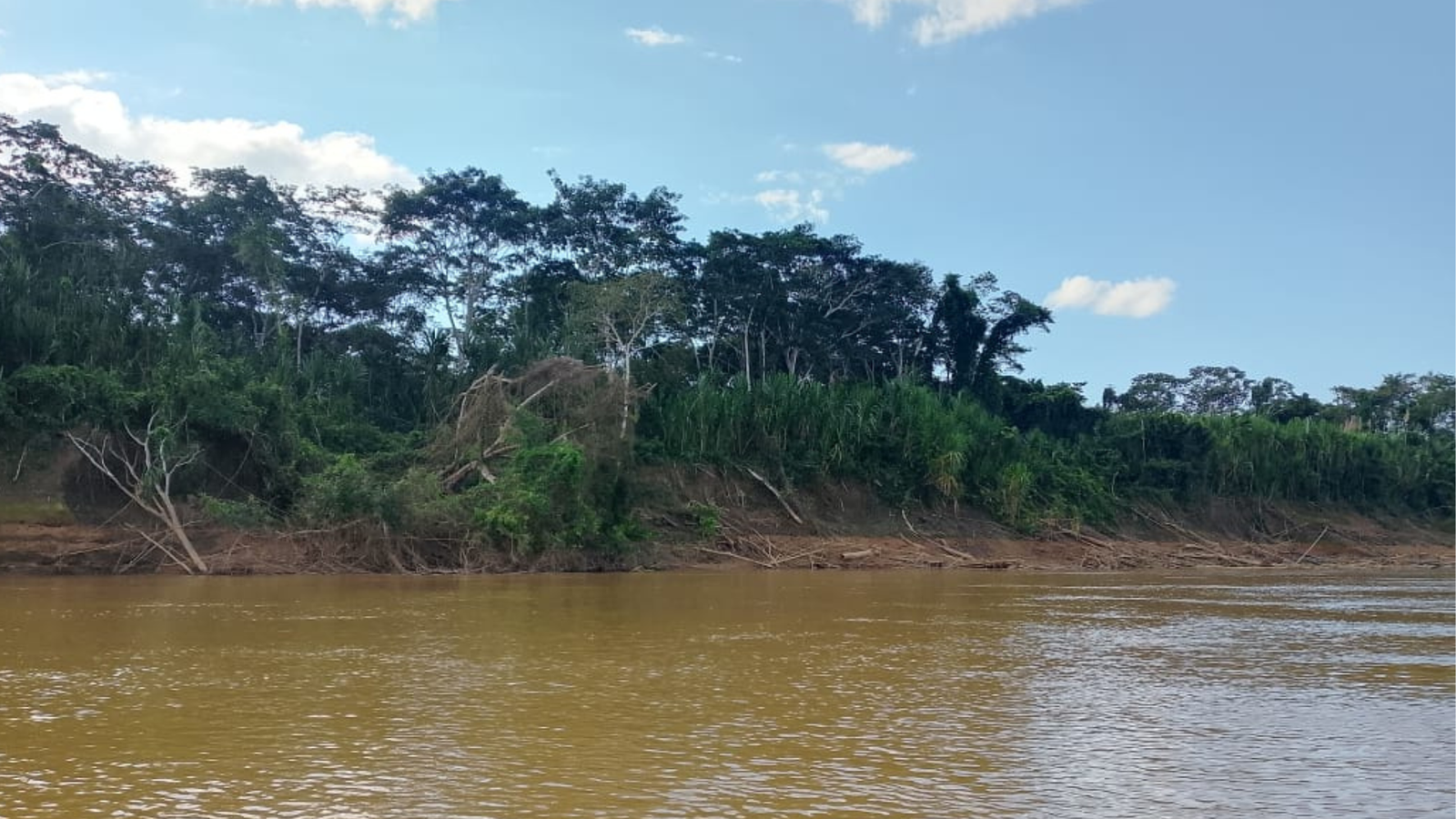 Gobernación inspecciona el río Beni ante denuncia de contaminación por mercurio que afecta al pueblo amazónico Esse Ejja 004 89