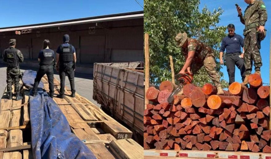 Brasil investiga “histórica incautación” de 50 toneladas de cocaína ocultas en madera procedente de Bolivia 480903435 1160406005453345 3678873639939982416 n 10 1