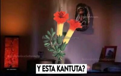 Vea los memes que "estallan" en redes tras triunfo de Bolivia ante Brasil con rumbo al Mundial 2026 9 543779176 18175752655355107 5926949427011436615 n