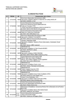 Subnacionales: TSE publica lista de partidos y alianzas e inicia fase de “revisión técnica” 4 601010418 1381049924058389 9211487657867498394 n