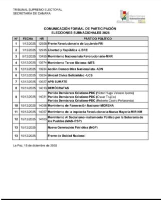 Subnacionales: TSE publica lista de partidos y alianzas e inicia fase de “revisión técnica” 2 601365547 1381049877391727 1482291177448142136 n