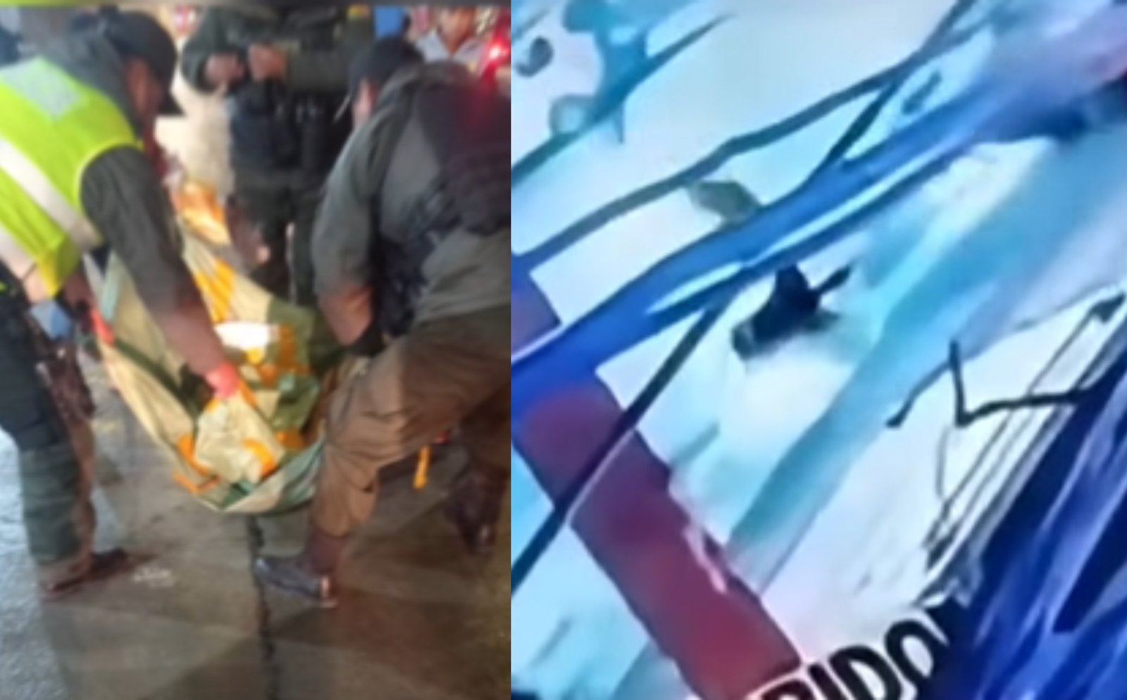 Cinco canes cayeron del puente distribuidor de Rio Seco por falta de barandas; dos murieron 653706782 122222823722317968 6884057115808164602 n 15