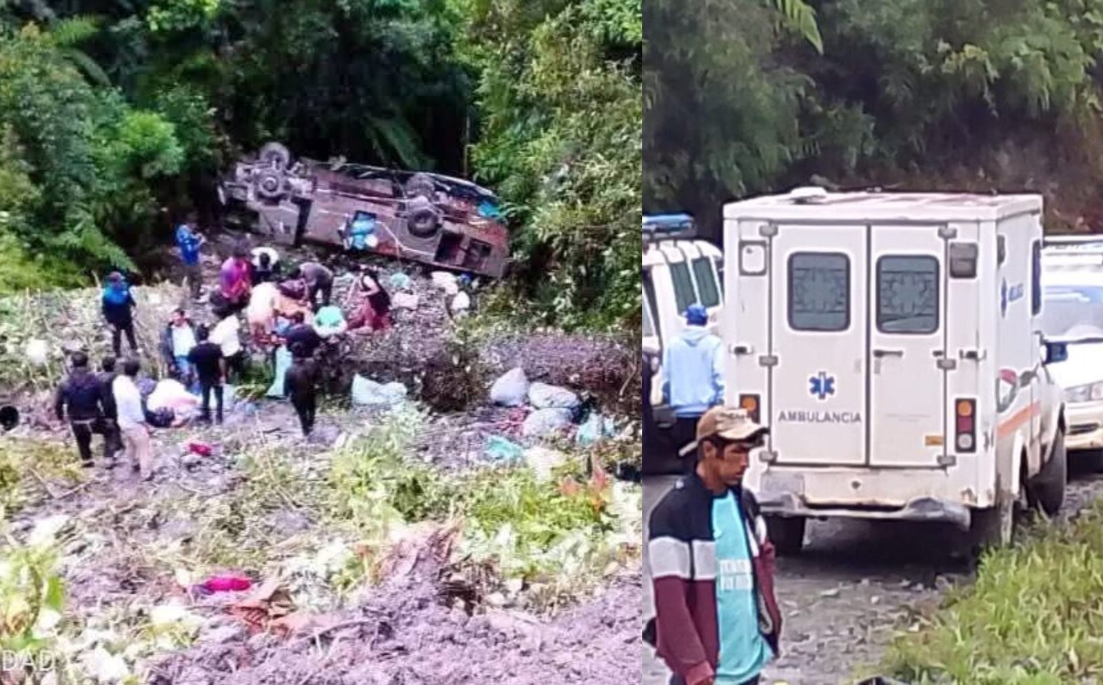 Un bus cae a un barranco cerca de Apolo y deja 6 muertos y 14 heridos 653706782 122222823722317968 6884057115808164602 n 20