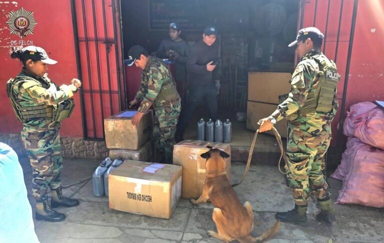 Felcn incauta marihuana en operativos en Tarija y Cochabamba; hay un aprehendido 660308705 1416899713800789 5666704545524497767 n 768x486 1