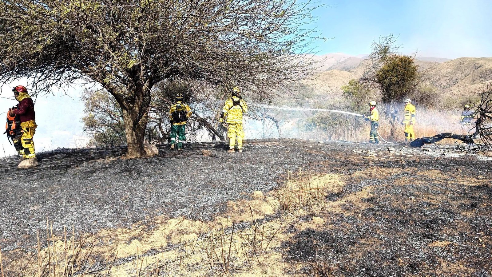 Bolivia registra 1.169 focos de calor y solo un incendio forestal activo en Tarija 749270166 2237709143674779 2696493583415914989 n