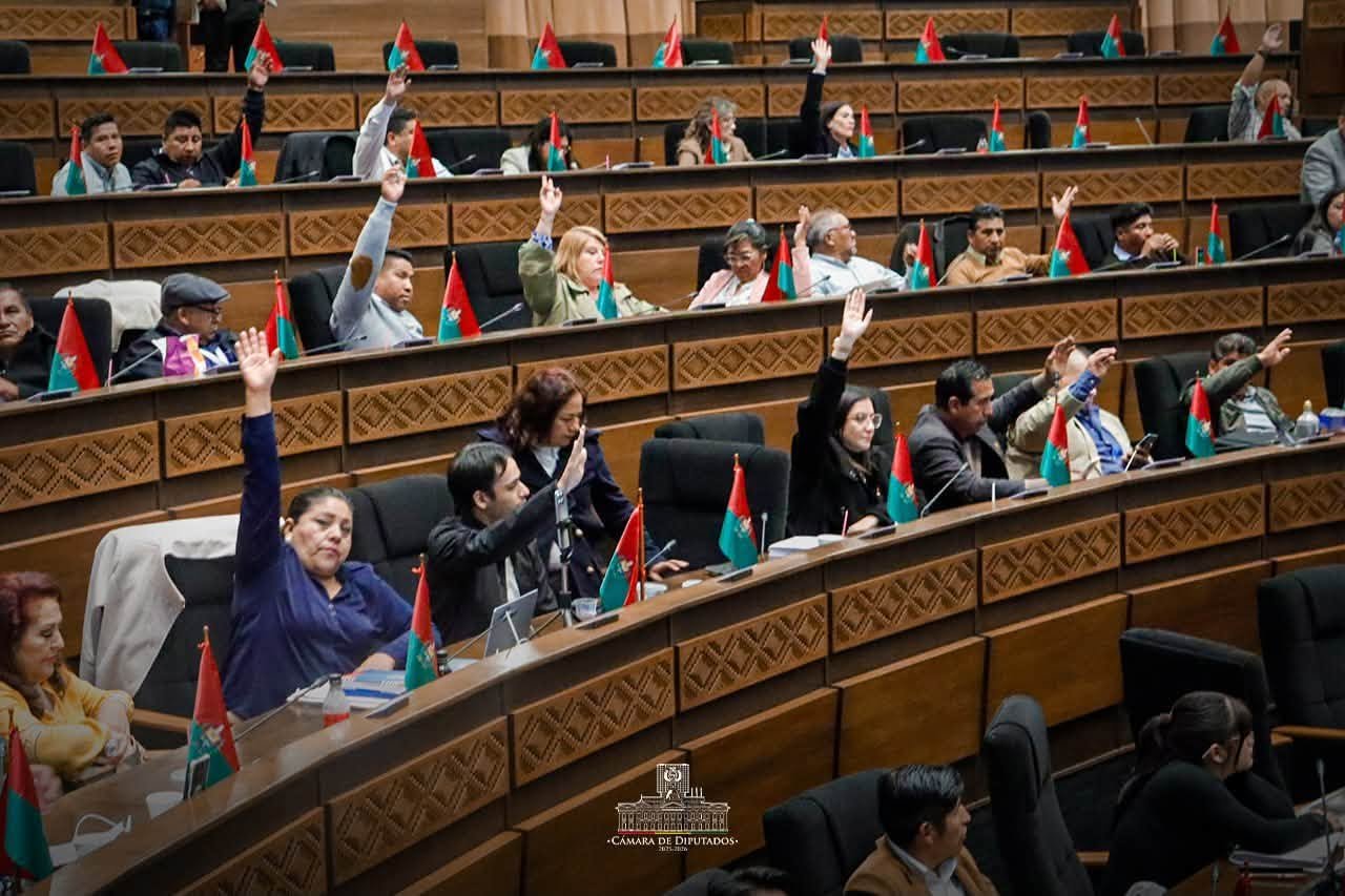 Diputados aprueban préstamo de $us 500 millones del BID destinado al pago de la Renta Dignidad 752952246 1364939312486404 7486774658017572885 n