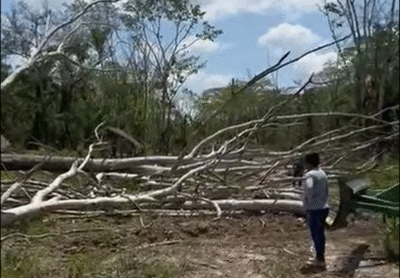 Gobierno despliega contingente de 250 policías ante denuncia de avasallamiento en Guarayos 2 Captura de pantalla 2025 10 06 221826