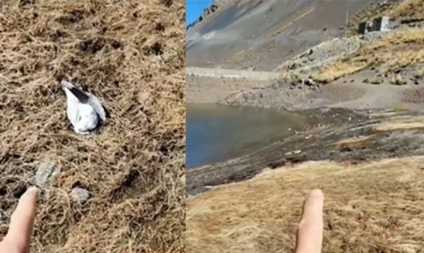 Gobernación descarta contaminación del agua en Hampaturi tras inspección por aves muertas Captura de pantalla 2026 06 18 105842 3 1