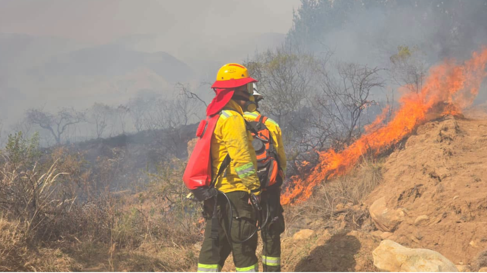 Senadora Marcela Guerrero propone hasta 30 años de cárcel para quienes provoquen incendios forestales Diseno sin titulo 53 1
