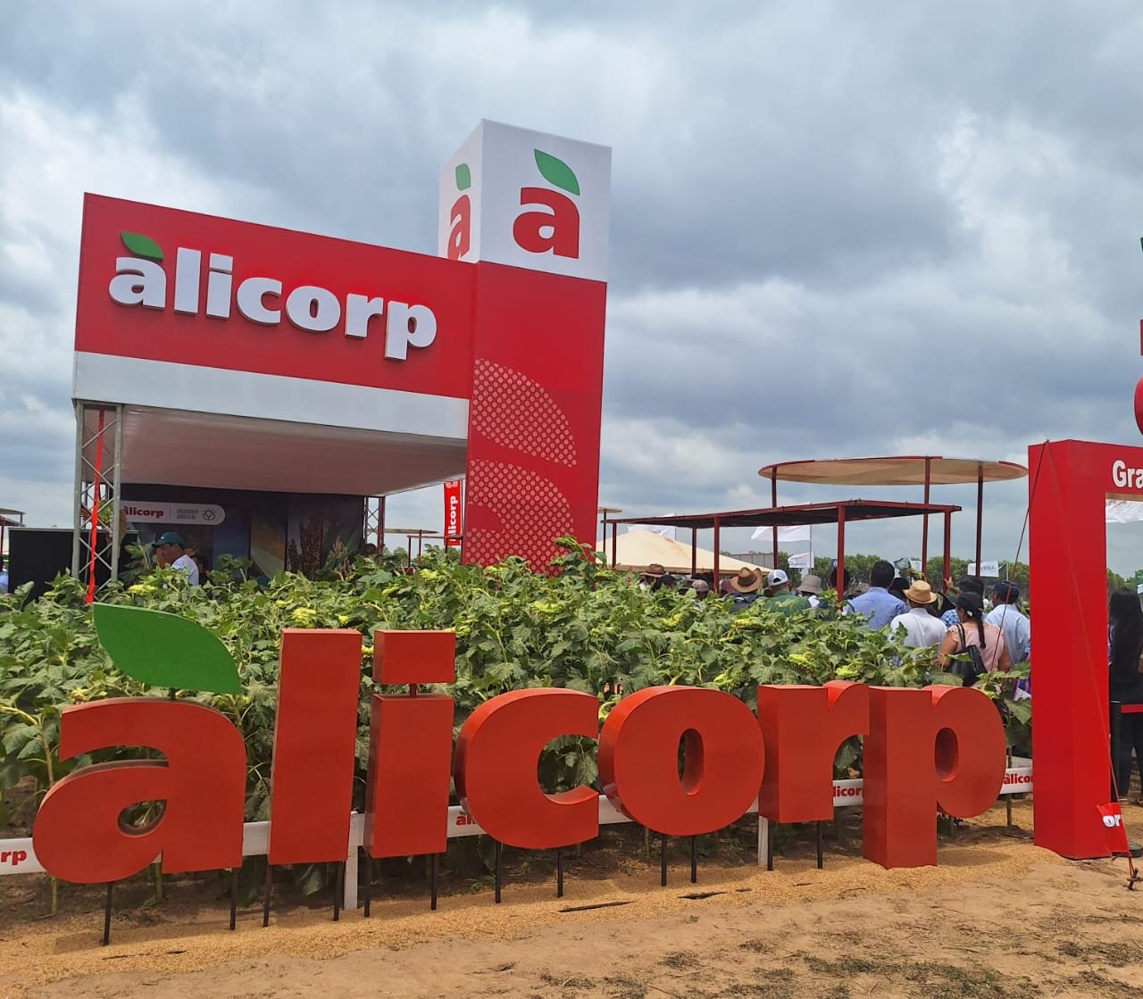 Alicorp, dueña de aceite FINO, analiza vender su negocio de molienda en Bolivia EXPOSOYA