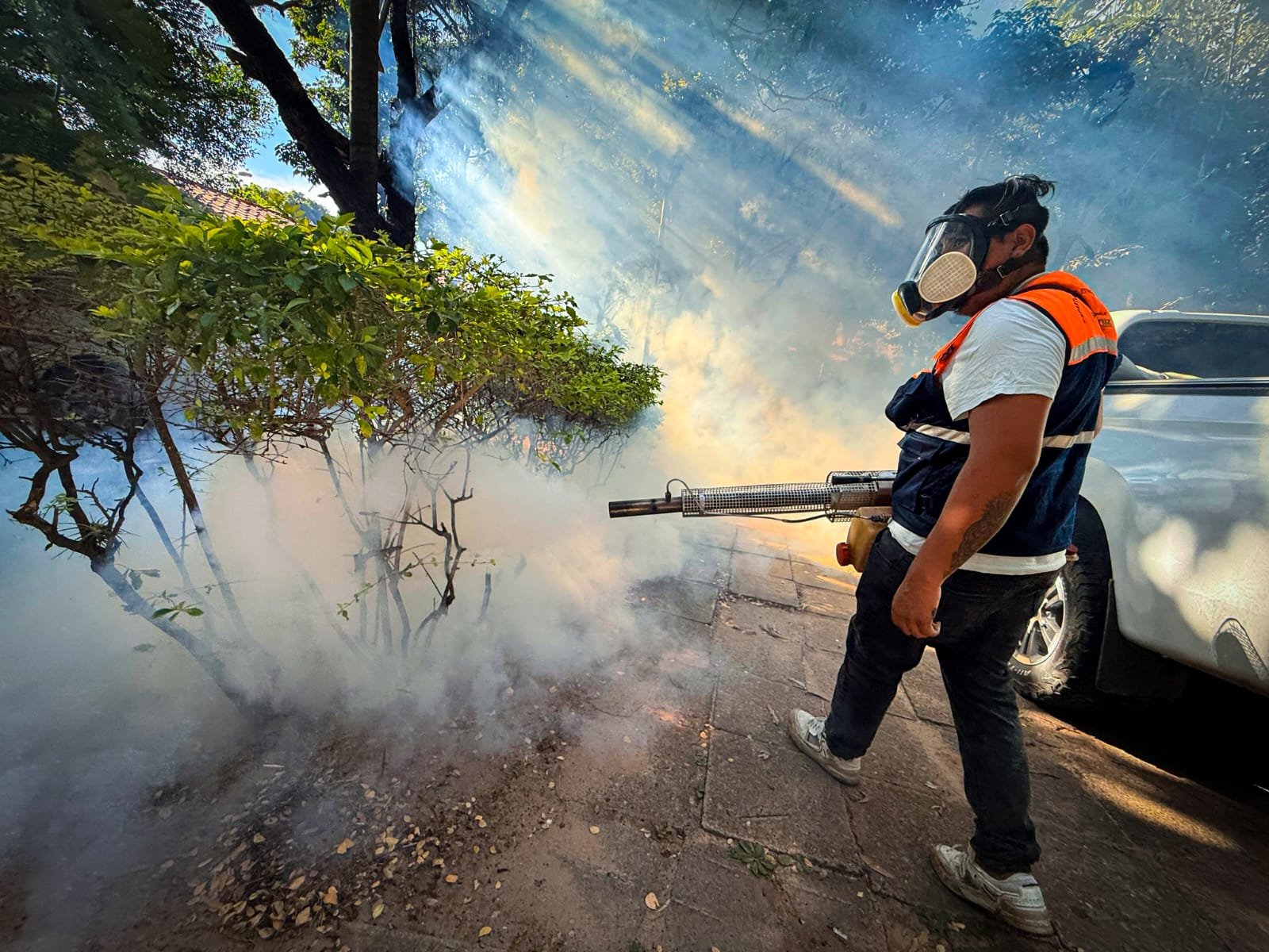 Chikunguña suma más de 4.300 casos y activan minga masiva en Santa Cruz Fumigacion GAMSC