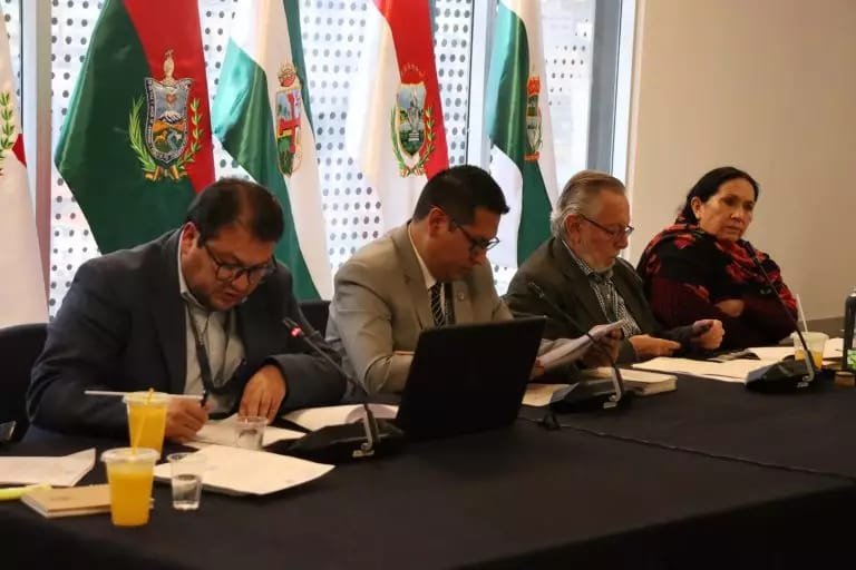 Senadora Yarhui pide ampliar el plazo de recepción de postulaciones a vocal del TSE hasta las 24:00 de este lunes Imagen de WhatsApp 2025 12 08 a las 21.18.46 e0dba71f