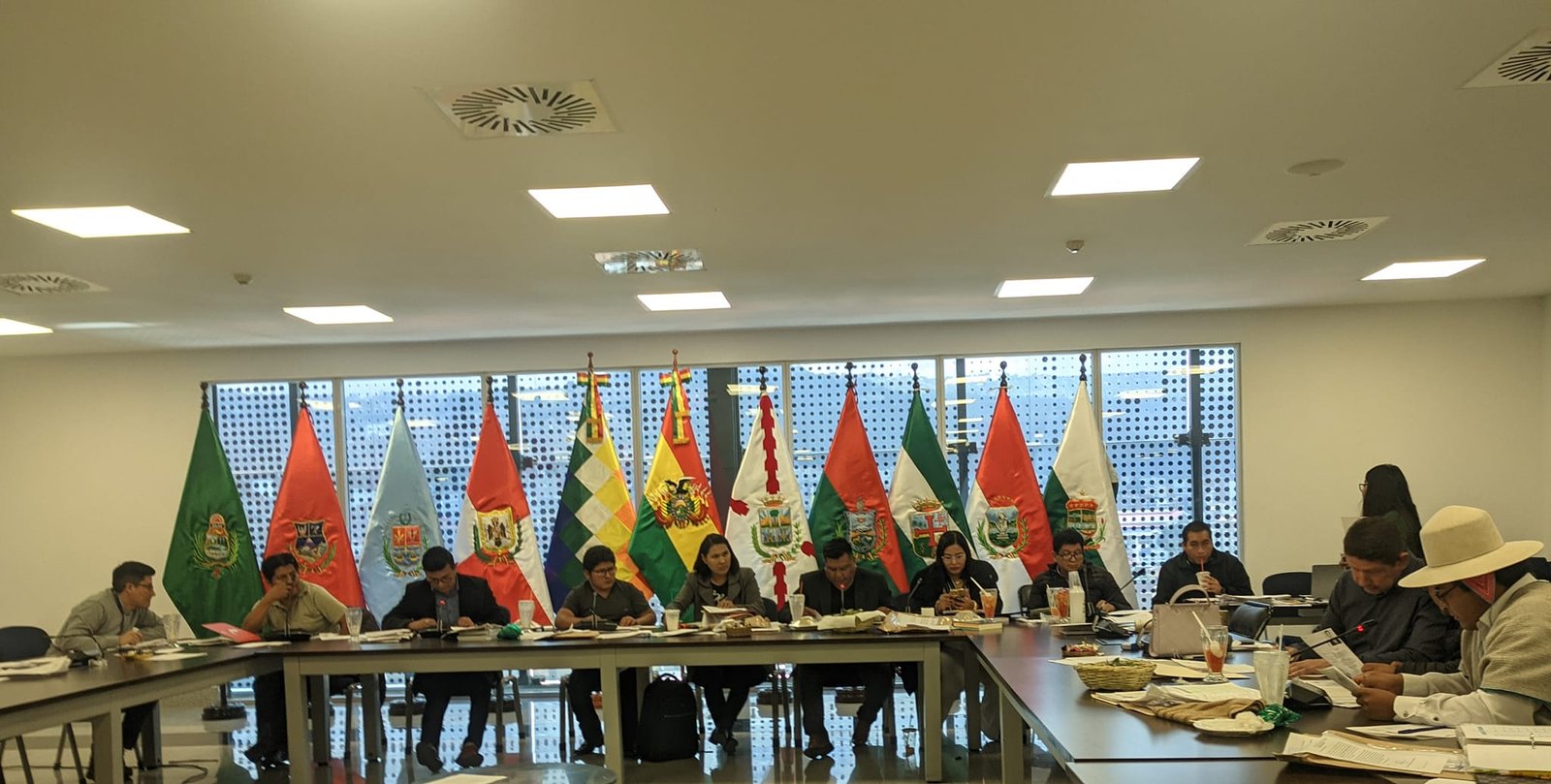 Elecciones judiciales: Comisiones Mixtas anuncian que retomarán la fase de selección de postulantes este martes MAgistrad 1