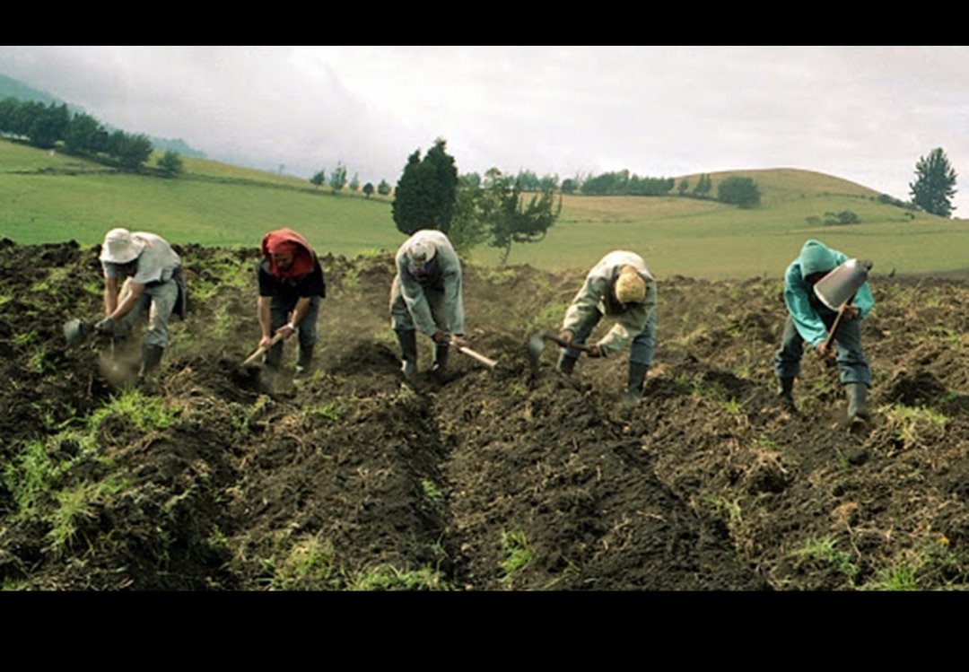 ASFI: Sector productivo concentra el 47,5% del total de la cartera de créditos a enero 2025 Screenshot 20250311 195030 com hihonor photos SinglePhotoActivity