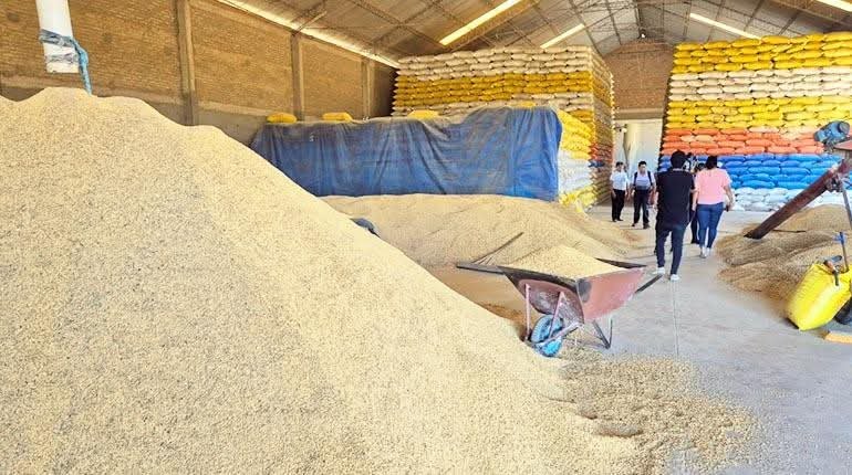 Arroceros se declaran en emergencia por contrabando y arancel cero a importaciones WhatsApp Image 2024 12 06 at 17.52.39