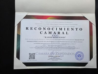 WhatsApp Image 2025 05 12 at 5.23.13 PM 1