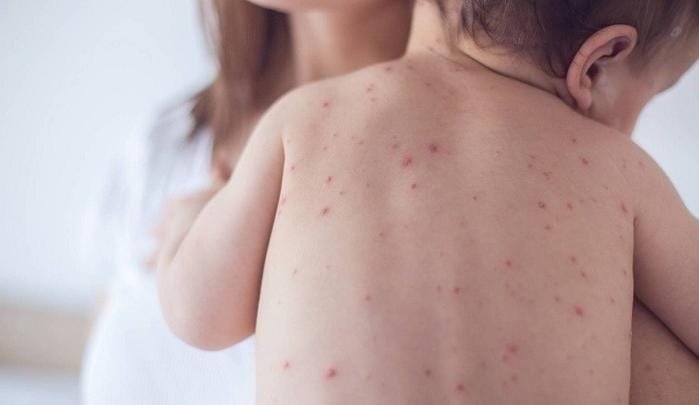 WhatsApp Image 2025 06 24 at 14.16.07