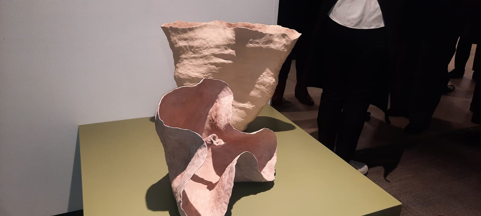 WhatsApp Image 2025 09 09 at 20.15.13