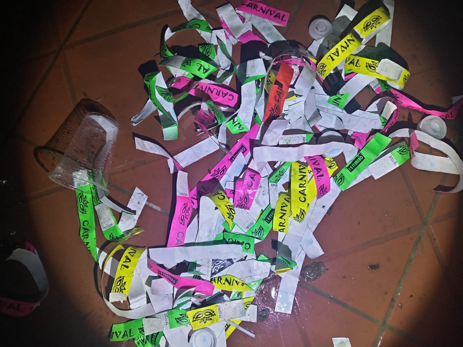 Interviene una fiesta clandestina en Achumani y permite el rescate de 50 menores de edad 6 WhatsApp Image 2026 02 15 at 9.13.47 AM 1