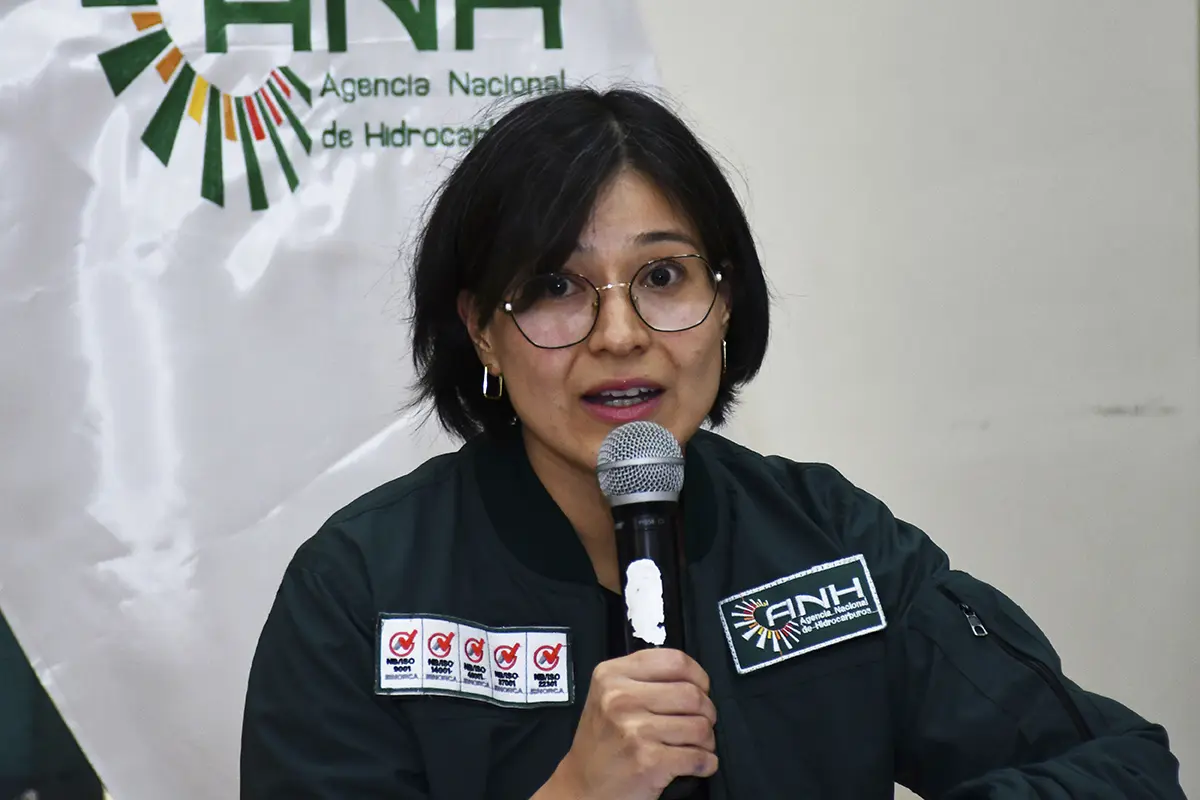 Fiscalía cita a declarar a la directora de la ANH, Margot Ayala, tras vínculos con el MAS anh