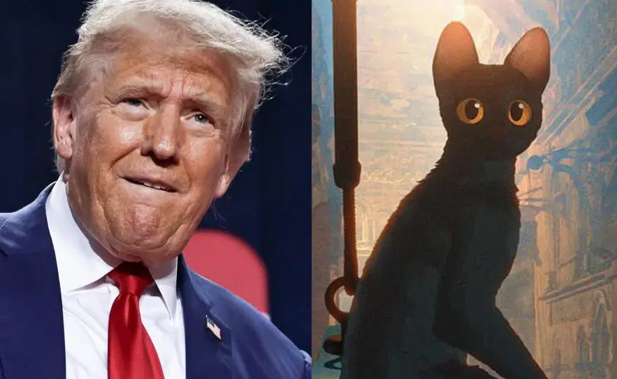 Trump impone arancel del 100% a películas extranjeras y producidas fuera de EEUU aranceles peliculas