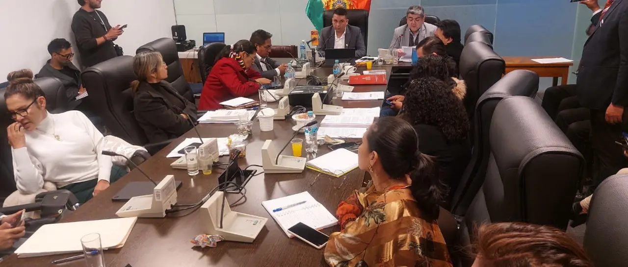 Comisión de Diputados aprueba crédito de $us 1.900 millones del FMI y pasa al pleno comision de planificacion de diputa 101 17314792 20260916222042