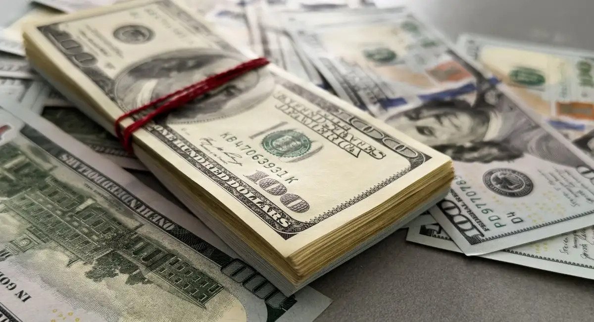Banco Central ofertará dólares al sistema financiero para contener sobresaltos cambiarios el valor referencial del dolar cae debajo de los bs 8 como revisarlo 1314863
