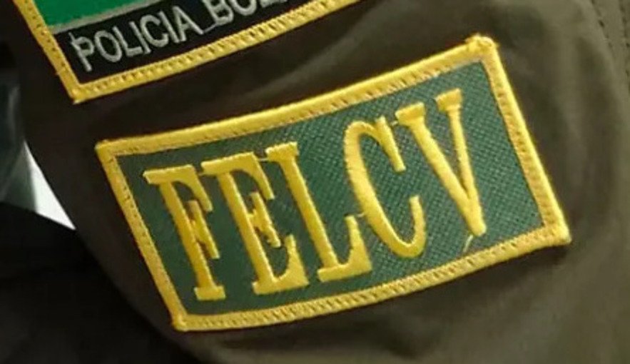 Aprehenden a joven acusado de apuñalar a su pareja durante celebración de Carnaval felcv 269 1 1