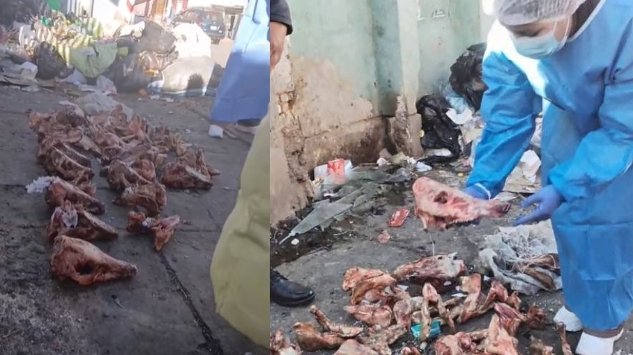 Fiscalía activa investigación por biocidio tras hallazgo de restos de perros en El Alto images 21 1 2