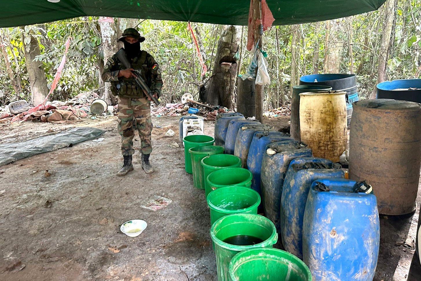 Más de 4,7 toneladas de marihuana y 79 kilos de cocaína fueron secuestrados en el Plan Carnaval incautacion de droga