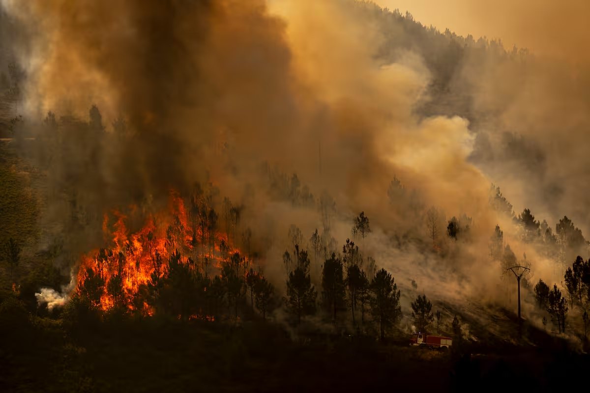 Los incendios forestales queman en España 172.400 hectáreas en lo que va de año incendios en espana OBYAWHHOORAADN4TGL3HATZOOM