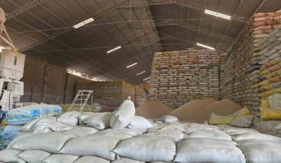 Ingenios arroceros van a un paro este miércoles en rechazo a las intervenciones de la Fiscalía 2 ingenios arroceros anuncian paro de 24 horas para el miercoles rechazan intervencion del gobierno 10 12 2024