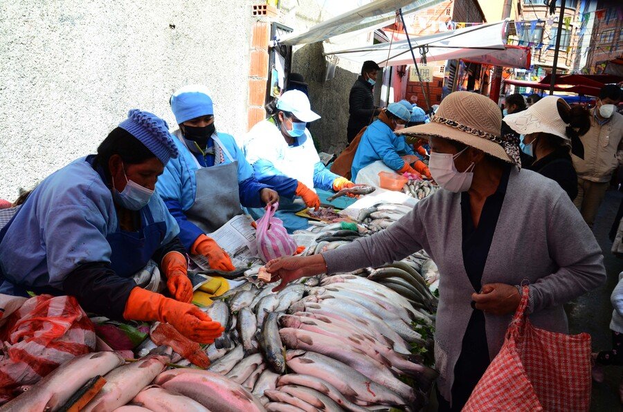 Semana Santa: Intensifican controles en mercados por la venta de pescados y mariscos pescado 1