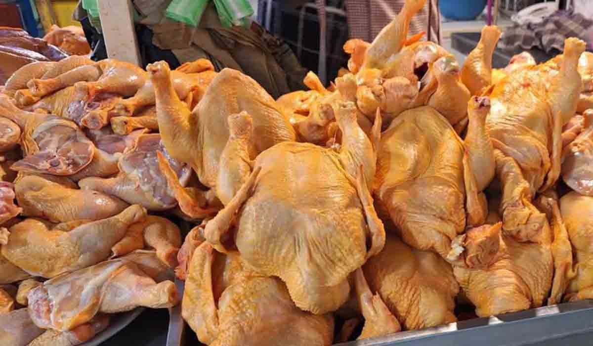 Alcaldía de La Paz habilita puntos de venta de pollo a Bs 28 el kilo por corredores humanitarios precio del kilo de pollo esta en bs 23 en el arranque de semana en santa cruz 23 12 2024