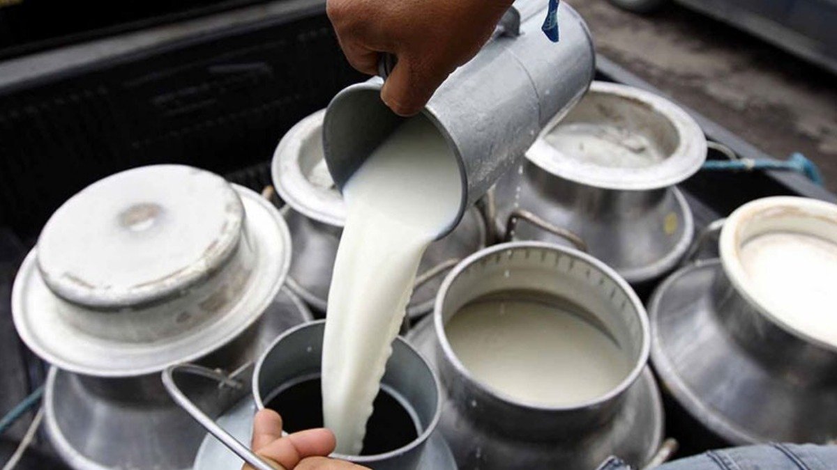 Santa Cruz: Productores de leche exigen levantar franja de precios y alertan caída del 28% u ante crisis economica lecheros de santa cruz advierten que su produccion esta en riesgo y exigen quitar precio fijo 1721927484