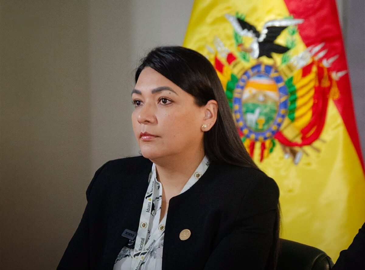 Gobierno designa a Aracely Araoz como nueva presidenta de la Aduana Nacional wmremove transformed 3 5 e1787085451561